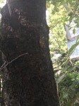 IMG_0095